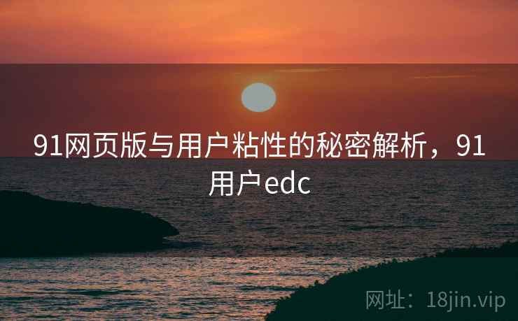 91网页版与用户粘性的秘密解析，91用户edc