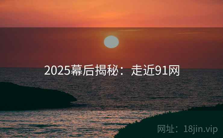2025幕后揭秘：走近91网