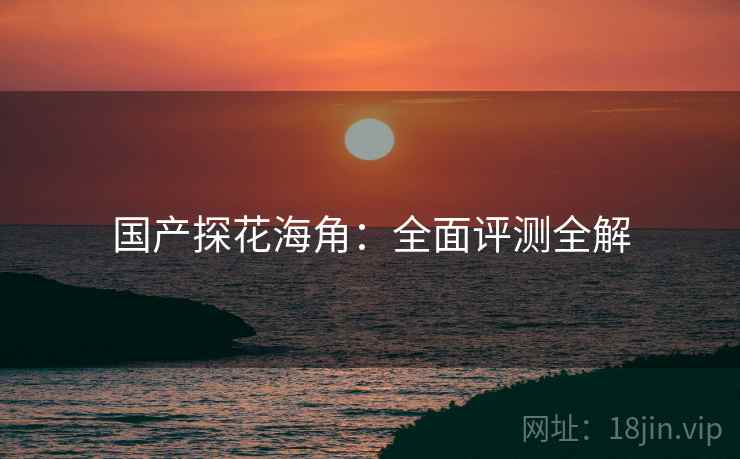 国产探花海角：全面评测全解