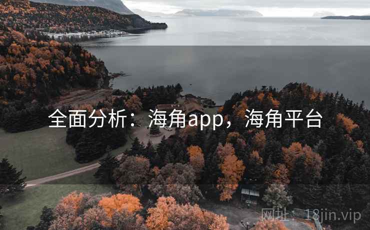 全面分析：海角app，海角平台
