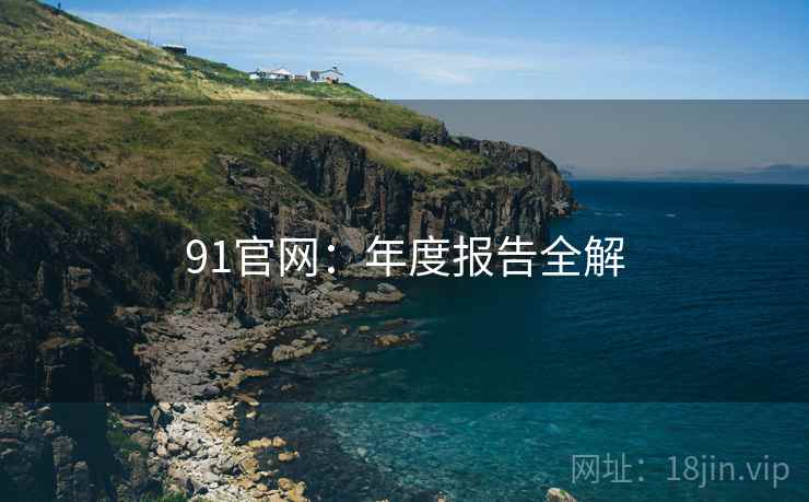 91官网：年度报告全解