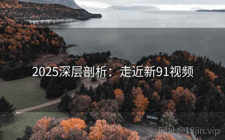 2025深层剖析：走近新91视频