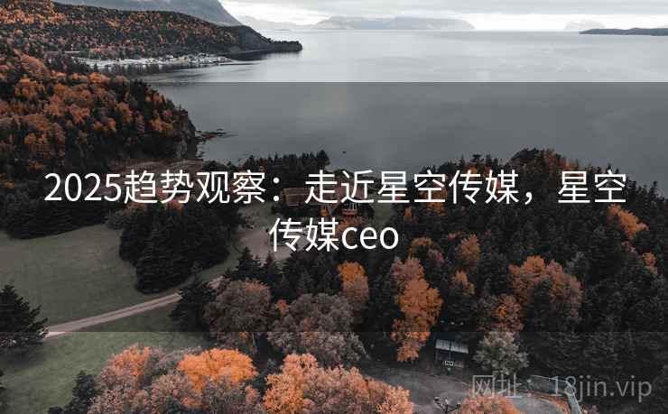 2025趋势观察：走近星空传媒，星空传媒ceo
