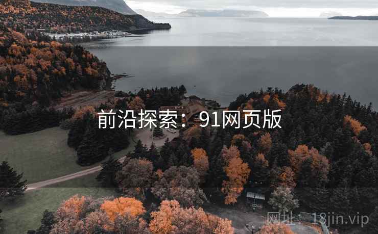 前沿探索：91网页版