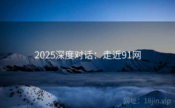 2025深度对话：走近91网