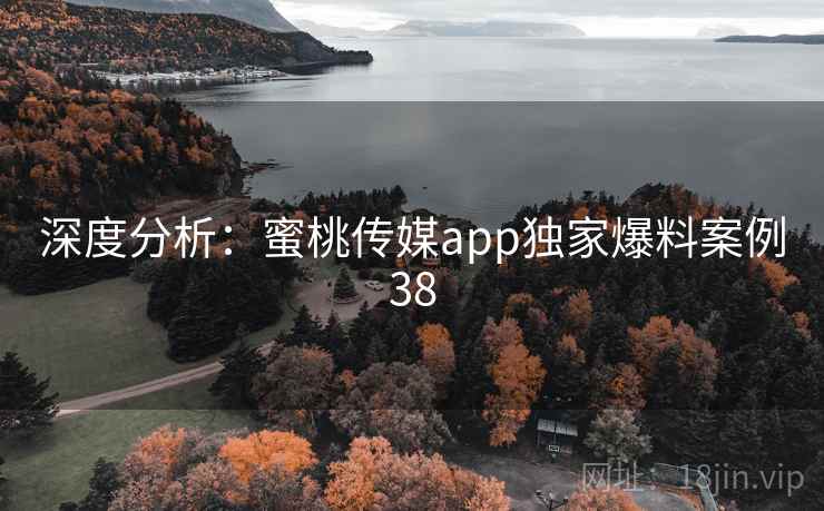 深度分析：蜜桃传媒app独家爆料案例38